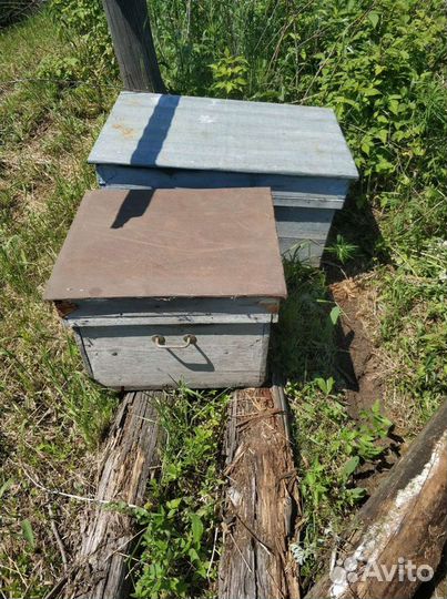 Продам ульи для пчел