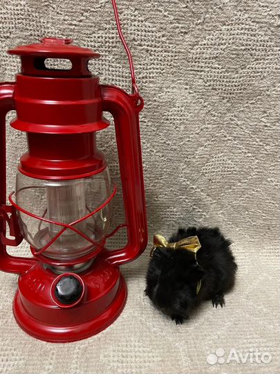 Морская свинка