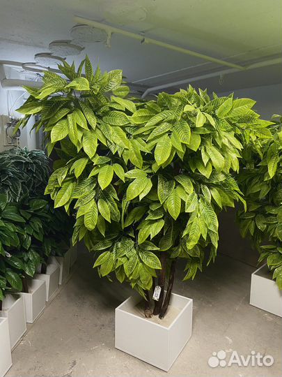 Искусственное дерево. Фитокартина для офиса