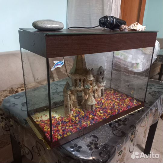 Аквариум