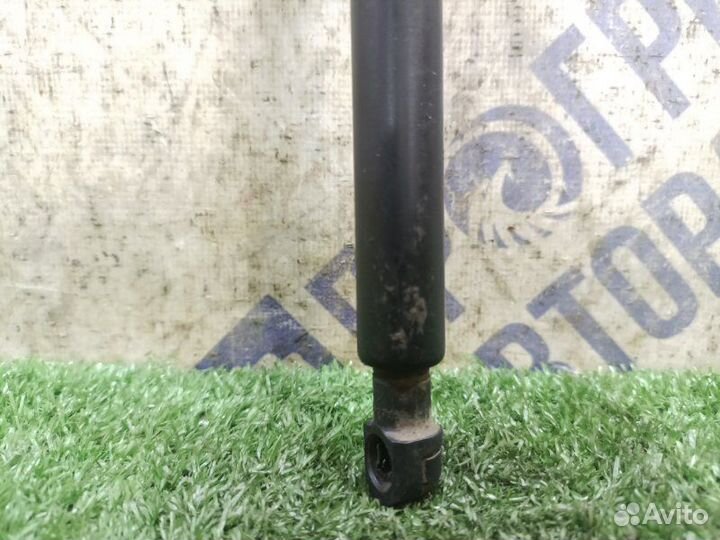 Амортизатор передний Nissan Murano кроссовер 3.5