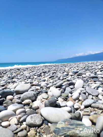 Трансфер минивэн