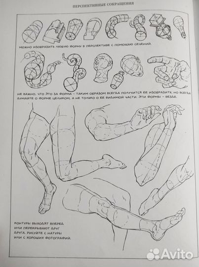 Книга Эндрю Лумиса 