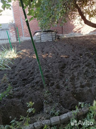 Сад благоустройство