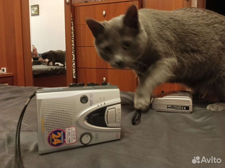 Диктофон плеер sony panasonic aiwa sanyo