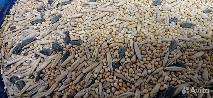 Комбикорм для попугая