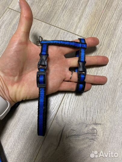 Аксессуары для кролика