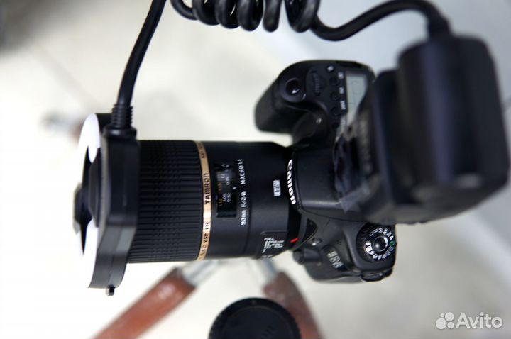 Макро Canon 60D+ Tamron 90 VC Macro