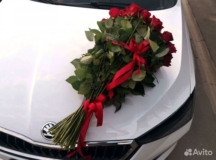 Розы, букет цветов, 101 роза, 51 роза. Розы опт