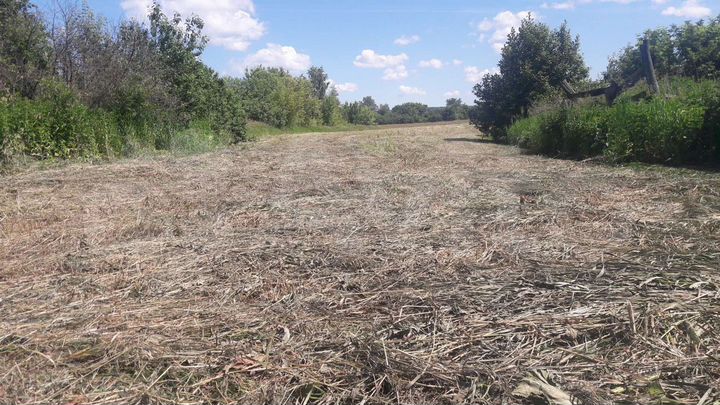 Участок 30 сот. (ИЖС)