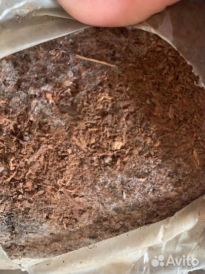 Кора сибирской лиственницы разных фракций