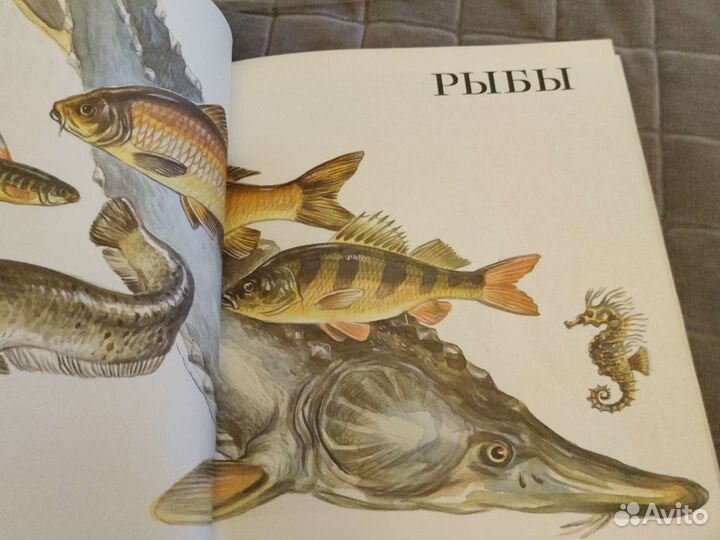 Книги о животных детские