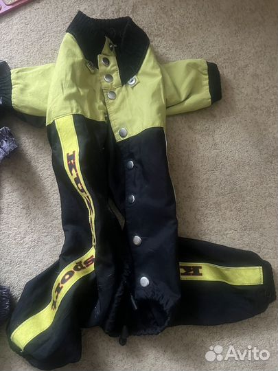 Одежда для средних собак