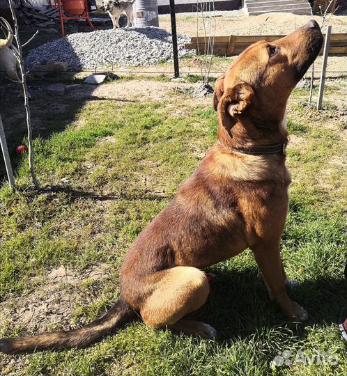 Помогите спасти