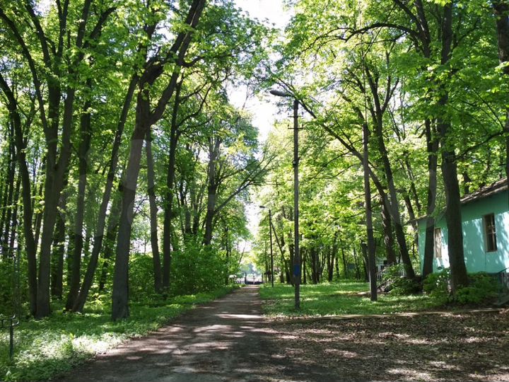 Участок 4 га (ИЖС)