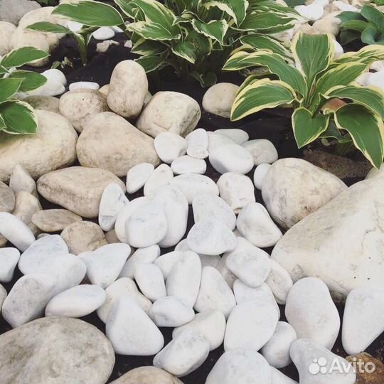 Галька белая мраморная, 20-70мм