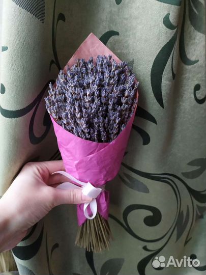 Букет из лаванды