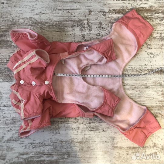 Теплая одежда для собак