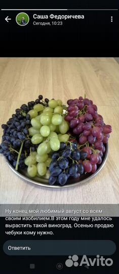 Черенки винограда