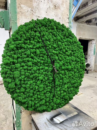 Часы настенные из мха