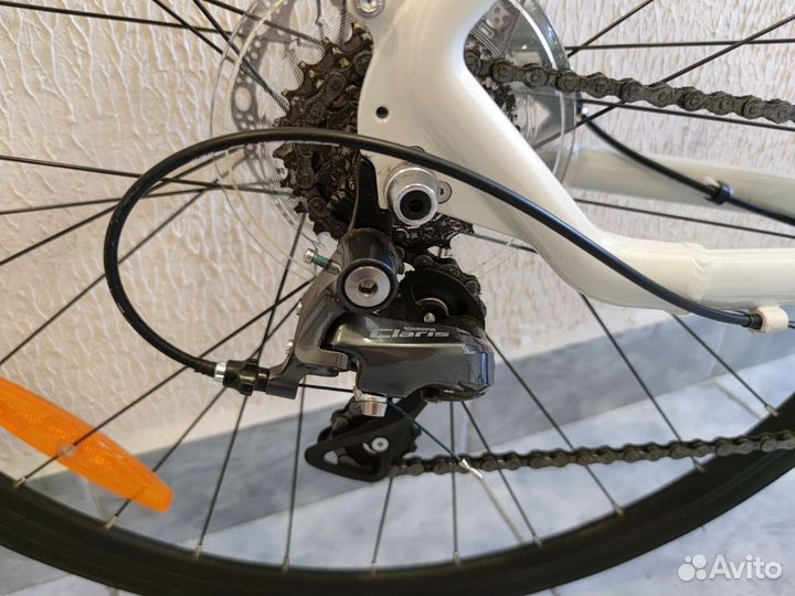 Outleap trackway 2021