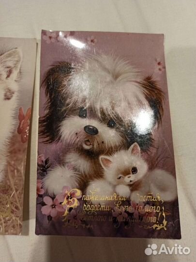 Фотооткрытки с котятами СССР