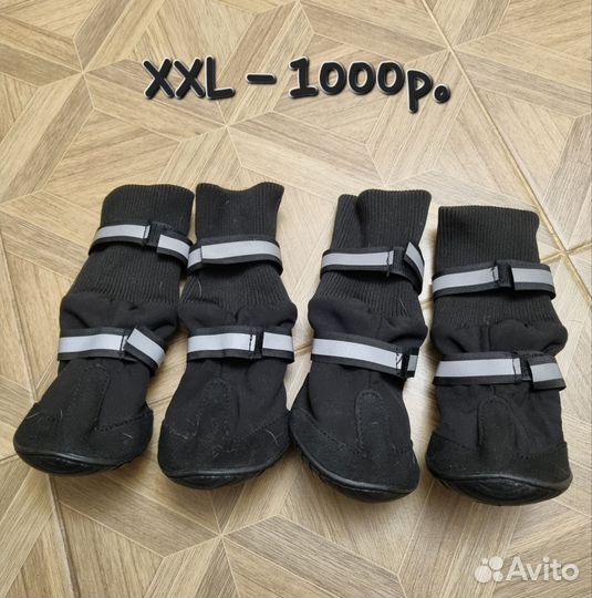 Одежда и обувь для собак