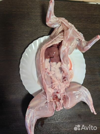Мясо кролика цена за 1 кг