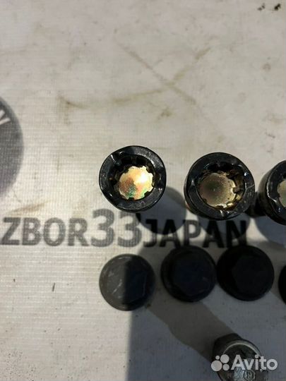 Болт секретный Code 19 Bmw E46 седан М54В30 2004