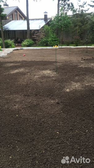 Рулонный газон/продажа/укладка