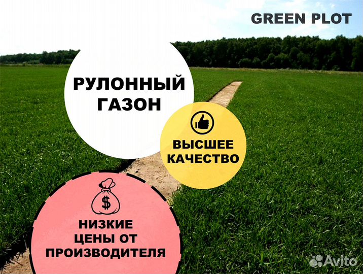 Рулонный газон под ключ