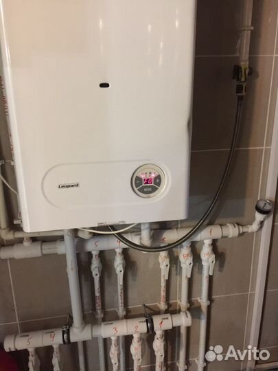 Газовый котел двухконтурный протерм leopard