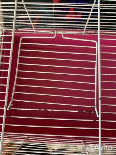 Клетки для грызунов