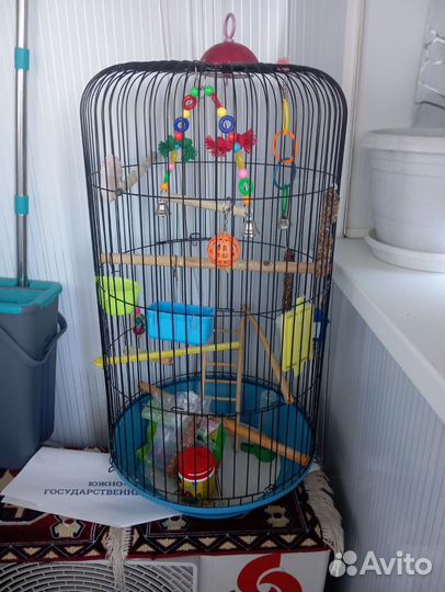 Клетка для попугая бу