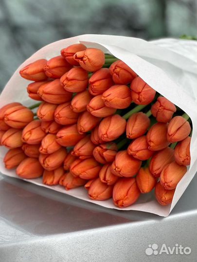 Тюльпаны / Букет из тюльпанов / 21, 31, 51