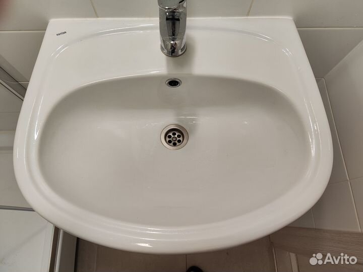 Раковина тюльпан