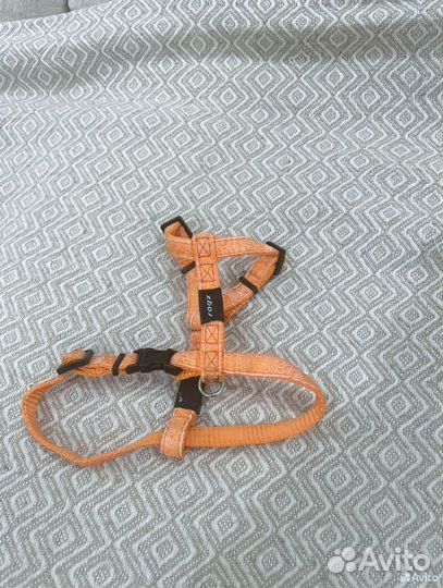 Амуниция для собак мелких пород