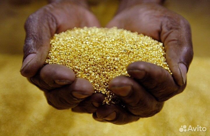 Покупаем биогумус (вермикомпост) оптом