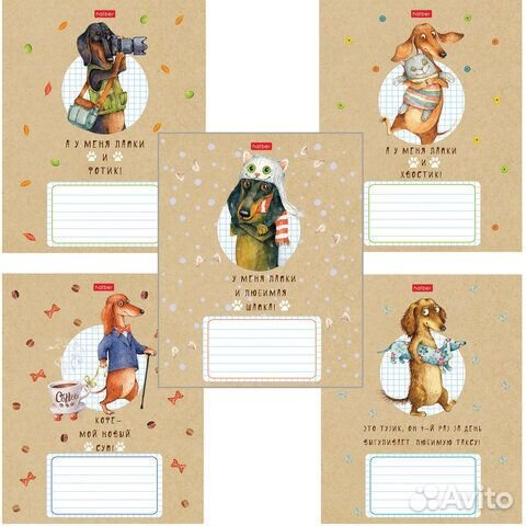 Тетрадь 24 л. hatber клетка, обложка картон, Такса