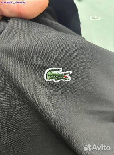 Поло Lacoste