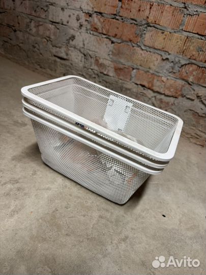 Альготикеа