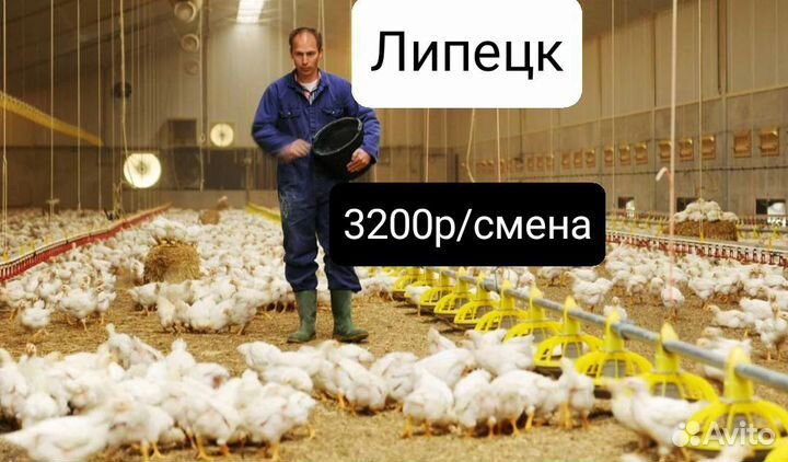 Разнорабочий на птицефабрику Липецкая область