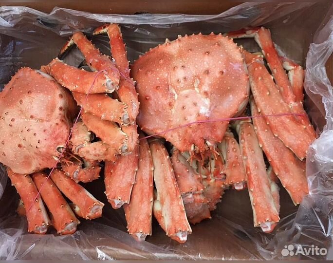 Краб Камчатский