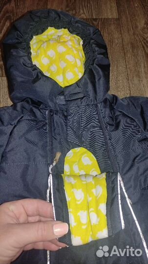 Комбинезон Barkito