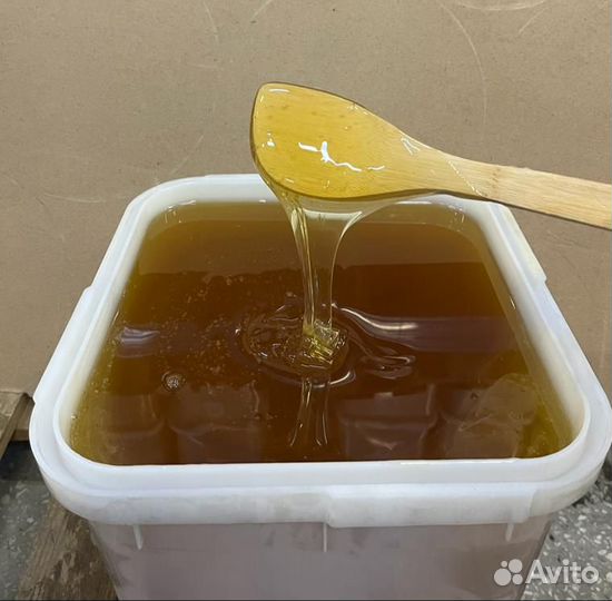 Мед свежий с алтая оптом