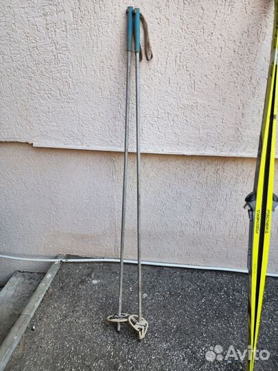 Лыжные палки