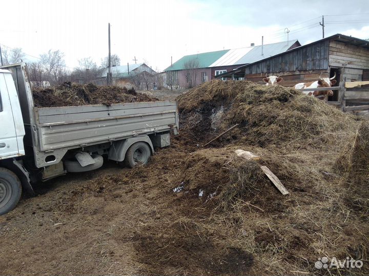 Продам навоз