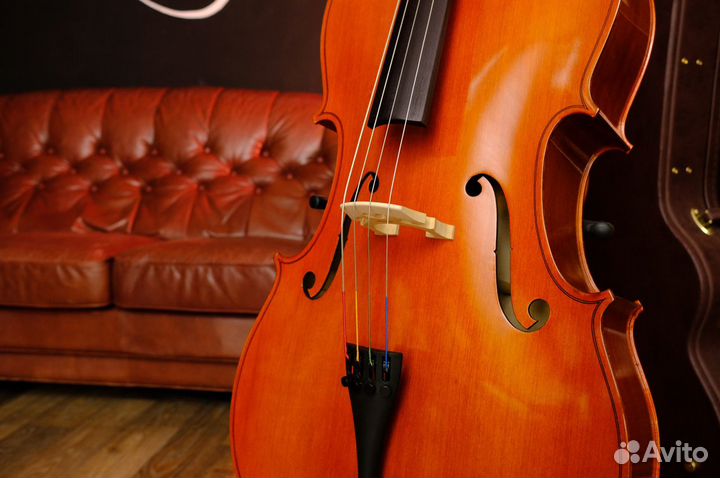 Виолончель Strunal + Аксессуары