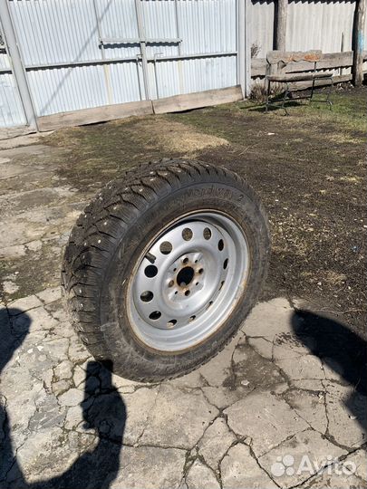 Tunga Nordway 5/65 R14
