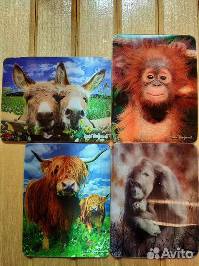 Новые открытки стерео 3D и стерео магниты на холод